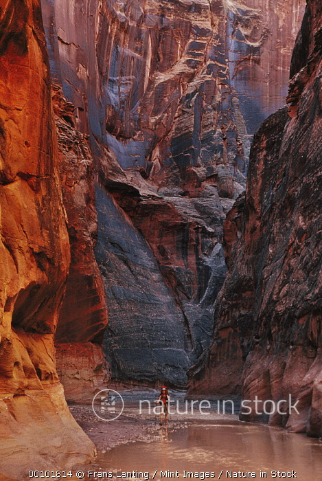 pics Buckskin Gulch Arizona nature in stock