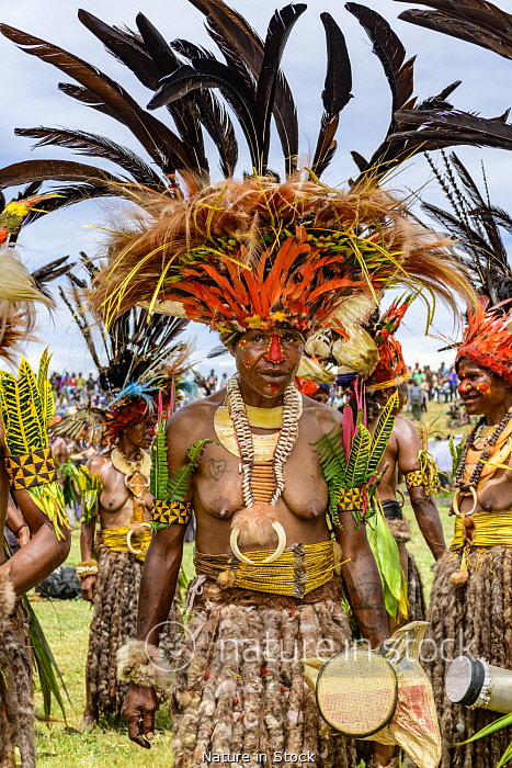 10149466 / Indigenous women with bird of paradise head dress, Mount Hagen  Show, Western Highlands, Papua New Guinea
