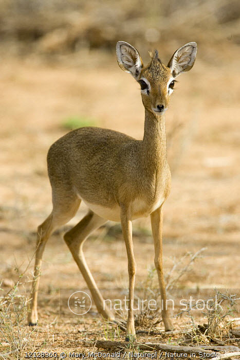 Tojik erkaklar jinsiy aloqa