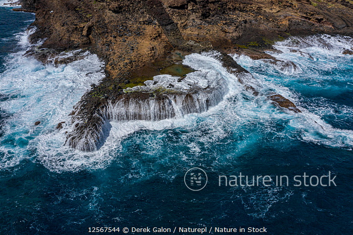 Nature in Stock