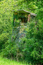 ensom lækage På kanten Nature in Stock - breisgau-hochschwarzwald